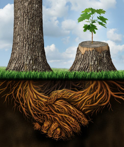 shutterstock_145805780